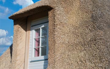 Bures thatch roof disadvantages